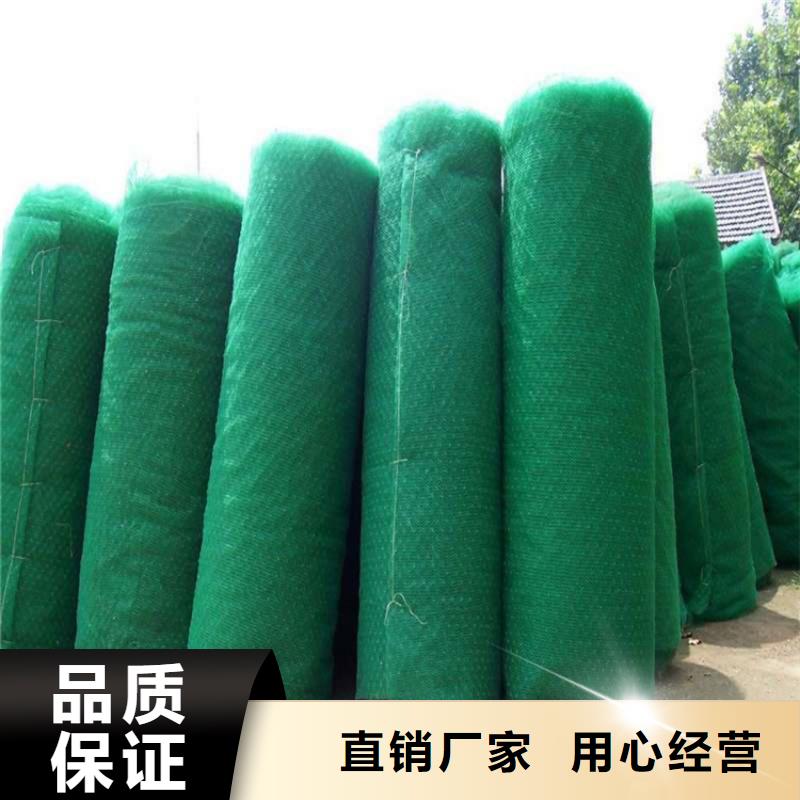 【三维植被网-土工膜海量现货直销】