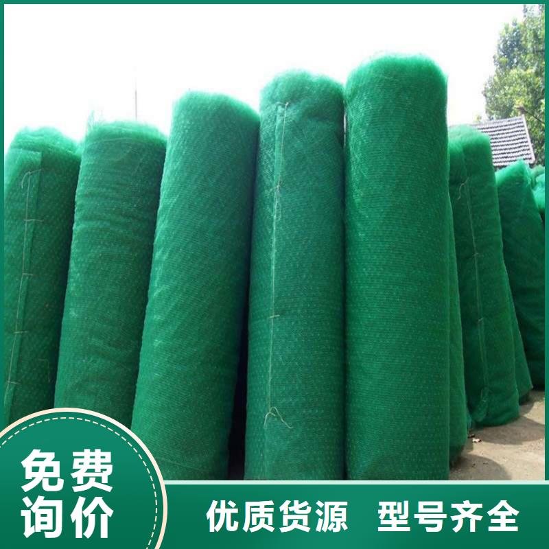 三维植被网_软式透水管好品质售后无忧