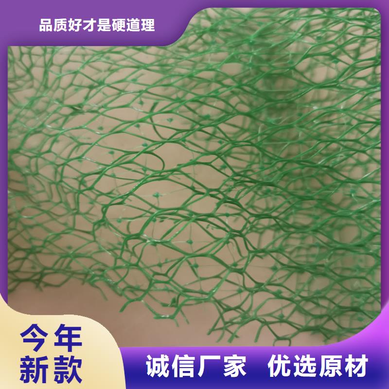 三维植被网-土工格栅发货及时