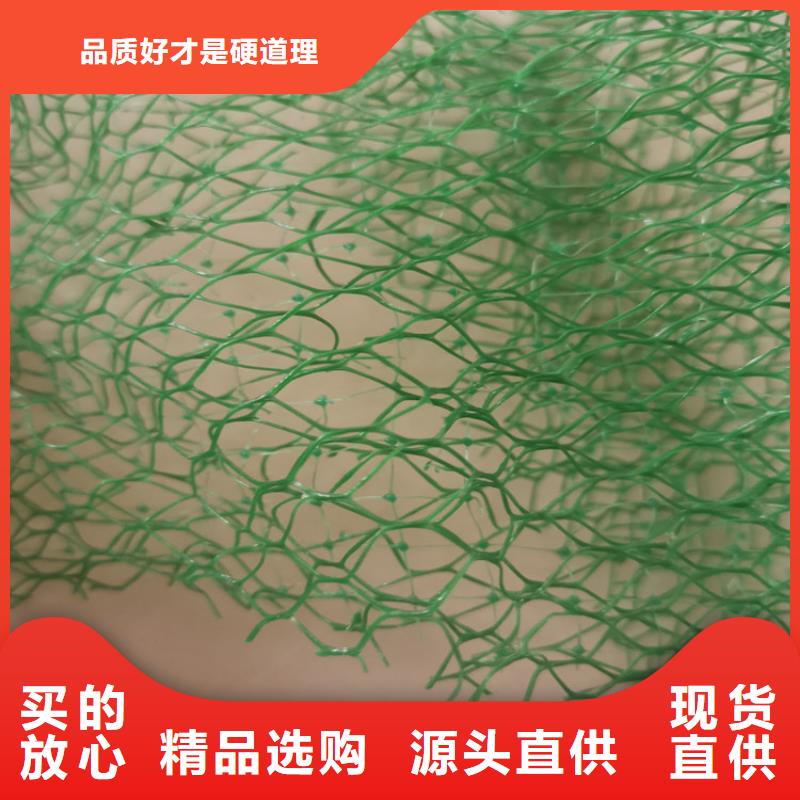 三维植被网_土工膜精选好货