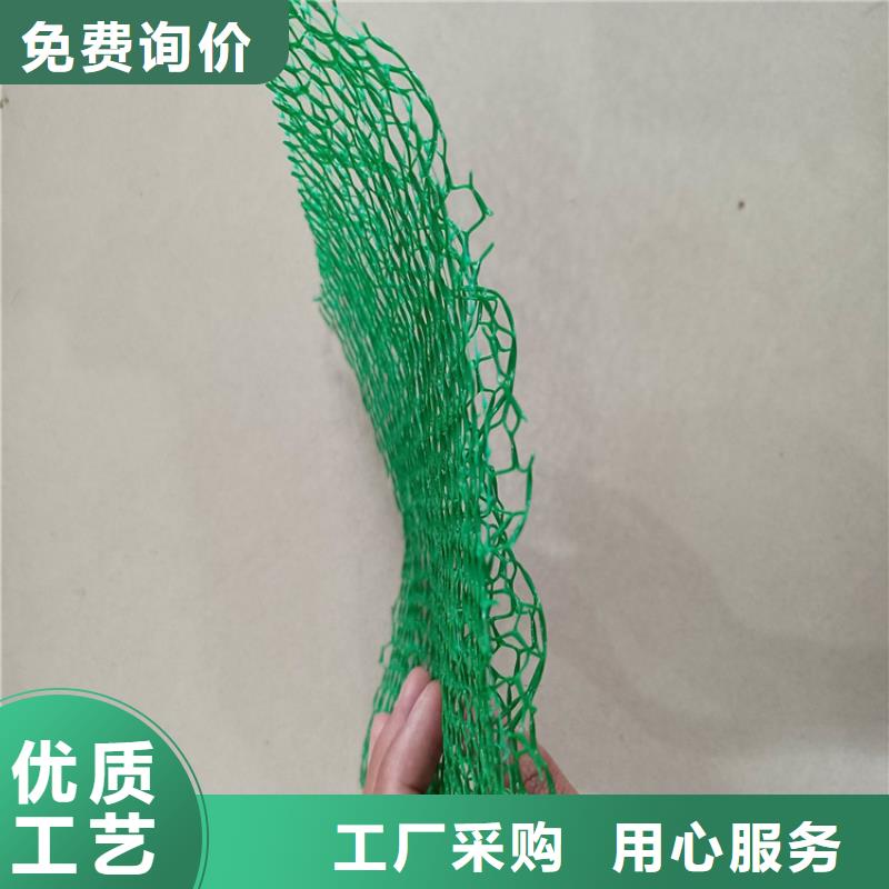 三维植被网-土工格栅发货及时