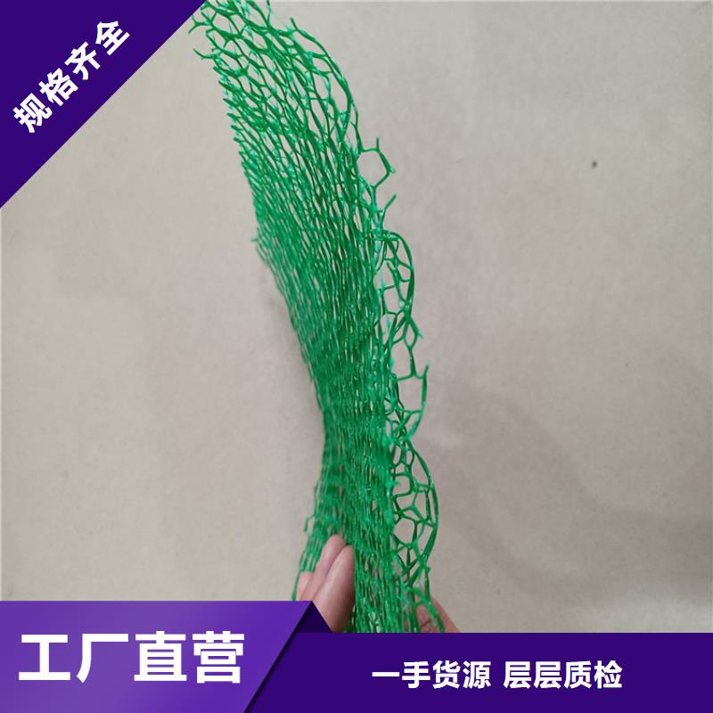 三维植被网_软式透水管好品质售后无忧