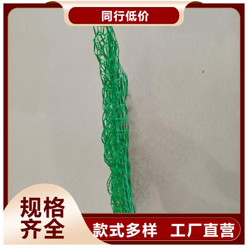【三维植被网-土工膜海量现货直销】