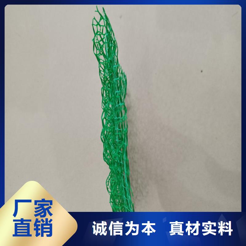 三维植被网-土工格栅发货及时