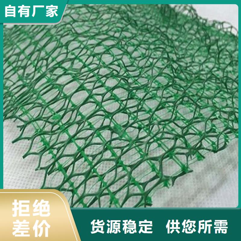 【三维植被网-土工膜海量现货直销】