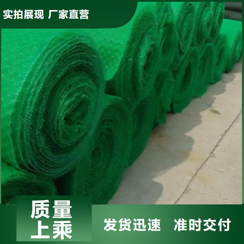 【三维植被网-土工膜海量现货直销】