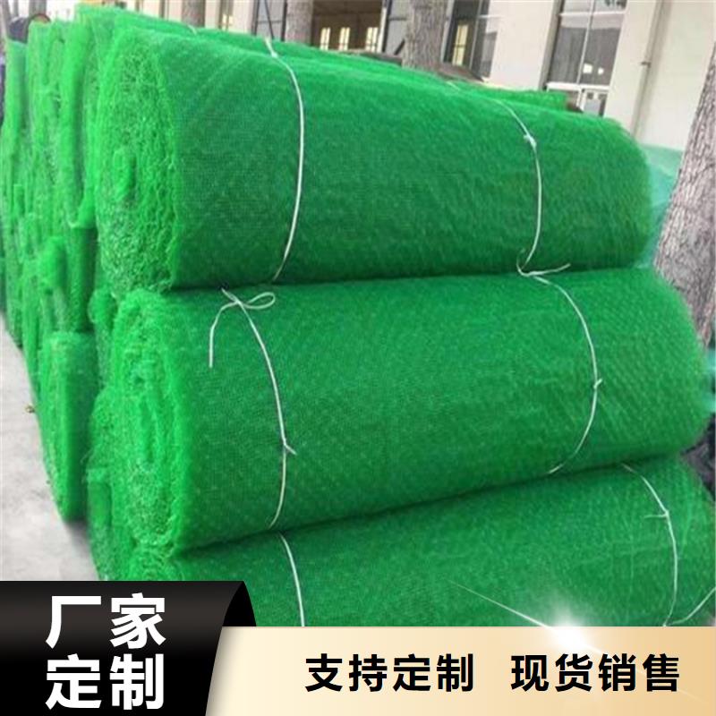 【三维植被网-土工膜海量现货直销】