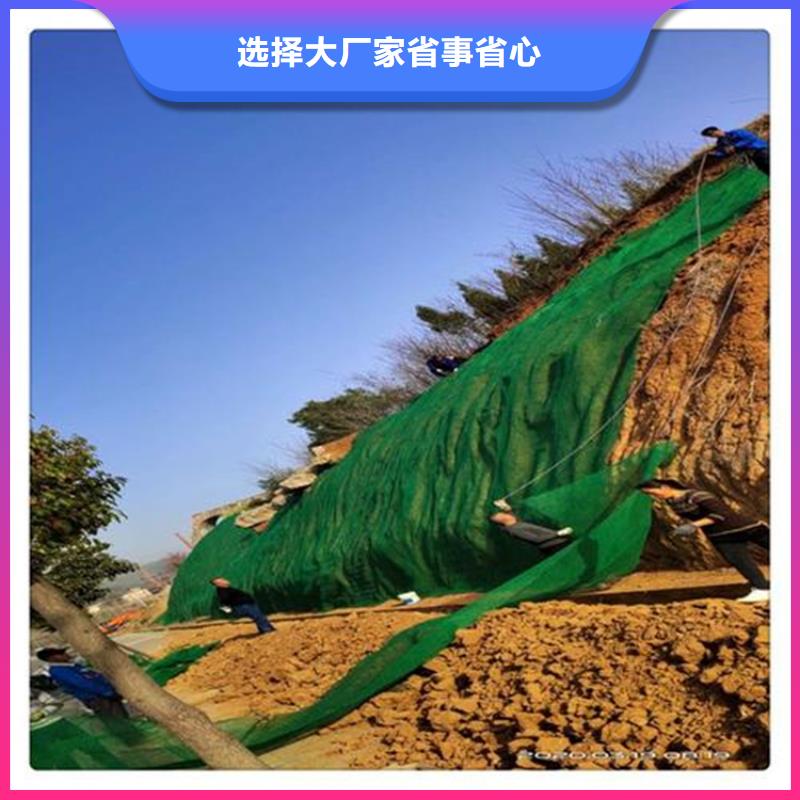 【三维植被网-土工膜海量现货直销】