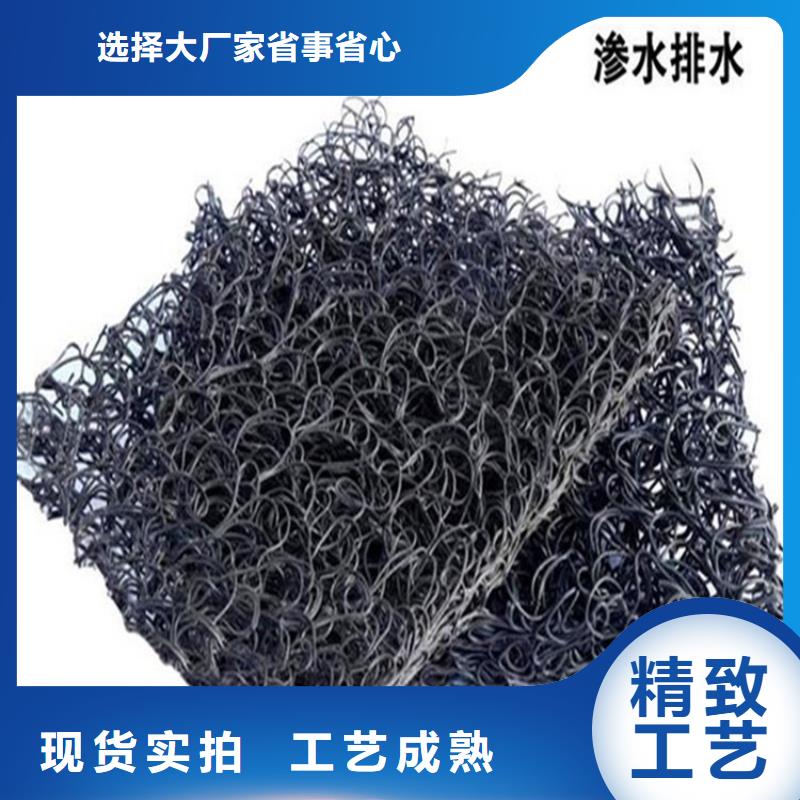 【土工席垫】钢塑土工格栅实体厂家大量现货