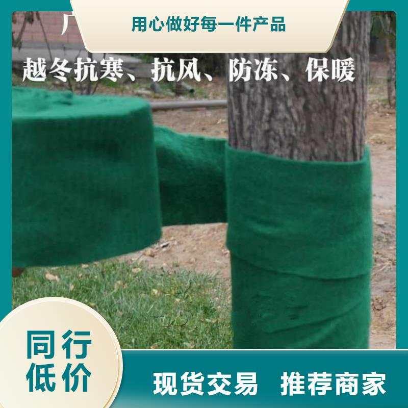 【裹树布】,土工格栅现货采购