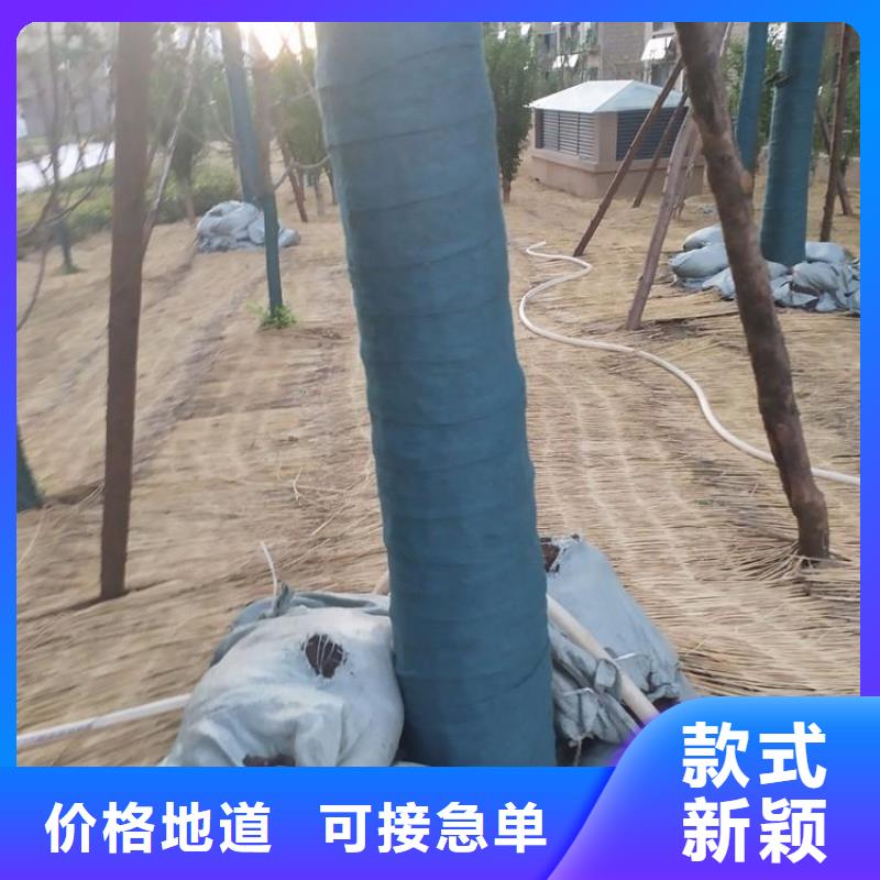 【裹树布】,土工格栅现货采购