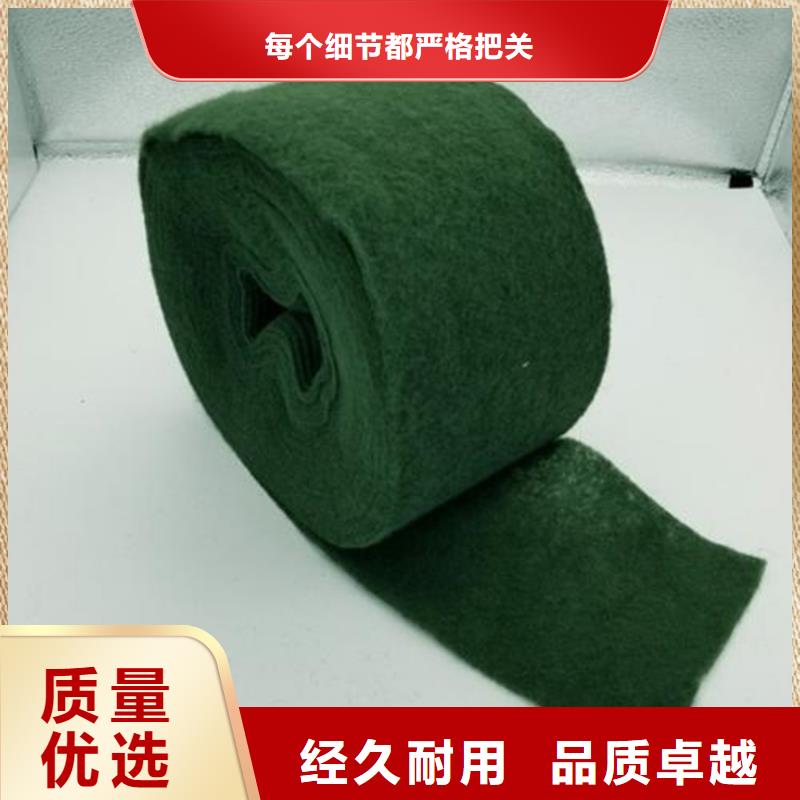 裹树布膨润土防水毯实力大厂家