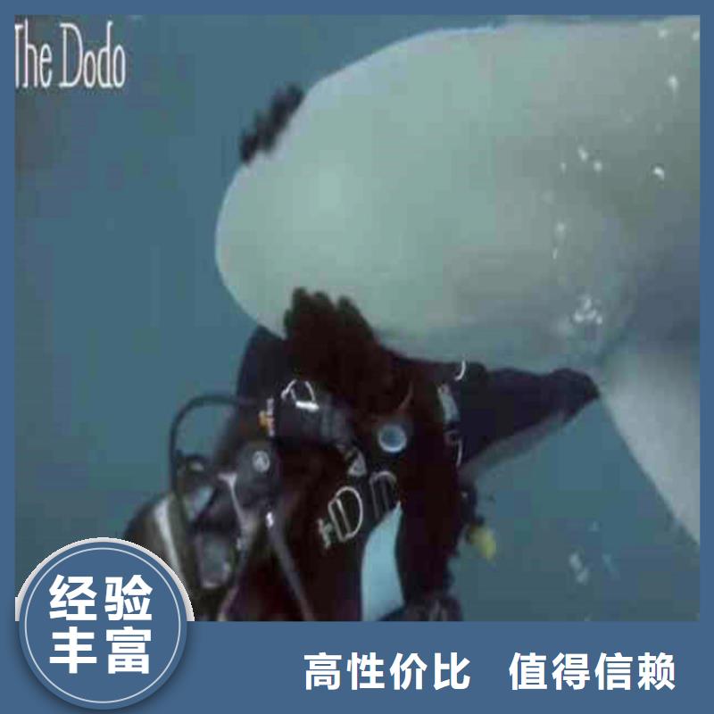 水中拍照工厂直销同城潜水队