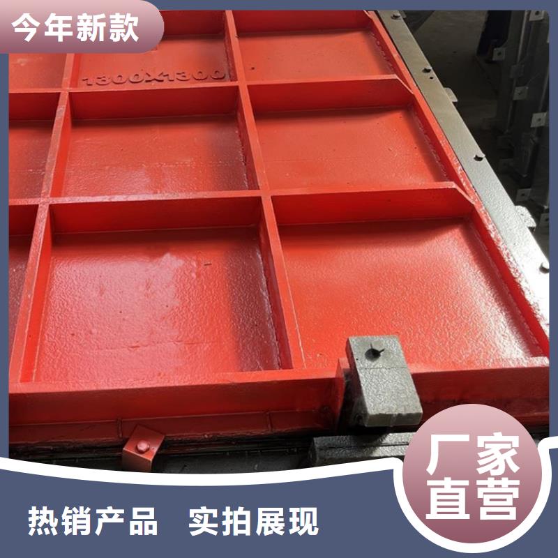 1.2m1.0m铸铁闸门质美价优