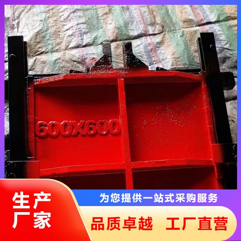 拱形铸铁闸门支持定制