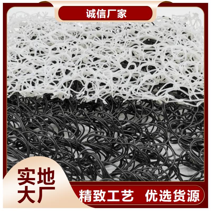 渗排水网垫畅销全国厂家