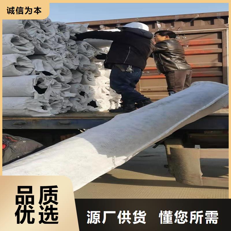 渗排水网垫畅销全国厂家