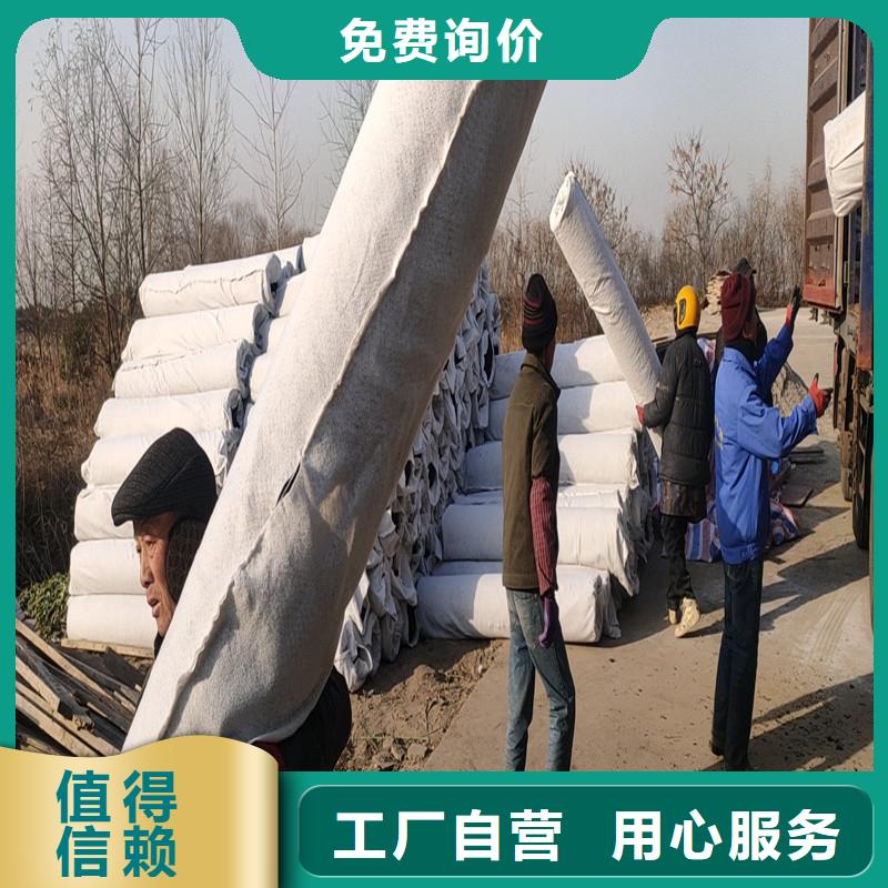 高耐压渗排水片材询问报价厂家