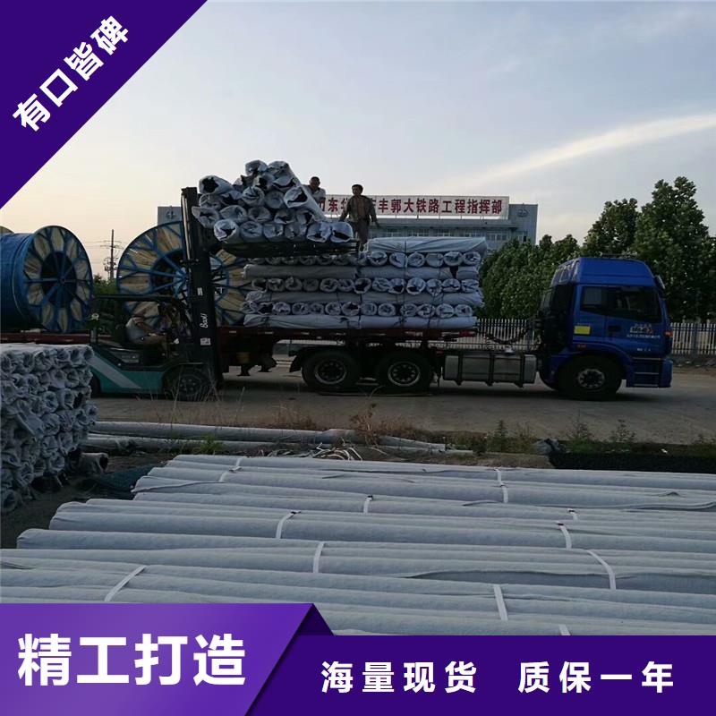乱丝土工席垫制造厂家厂家