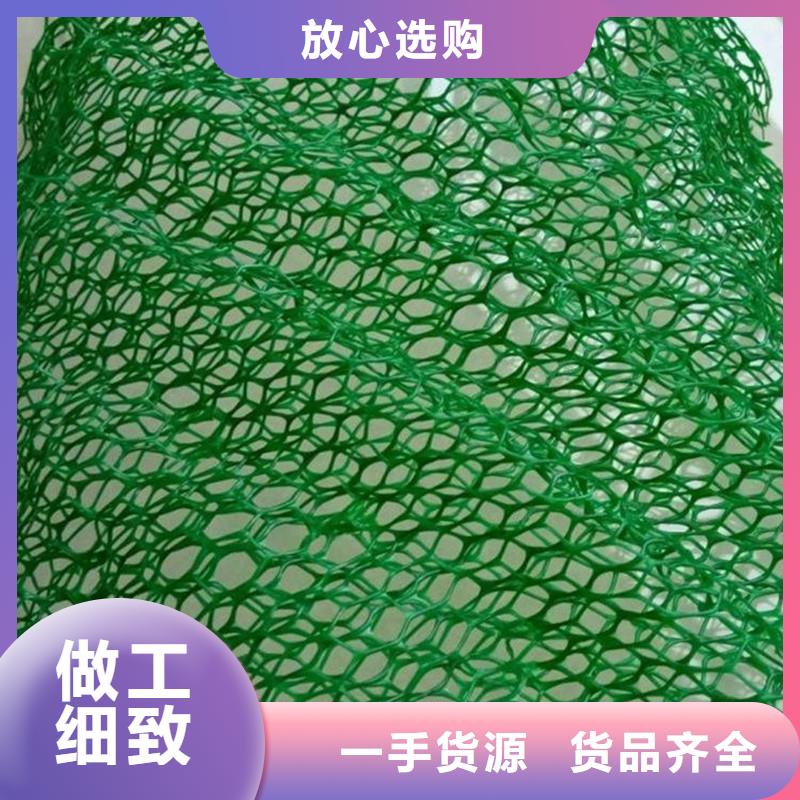 三维植被网砂浆混凝土纤维源头厂家