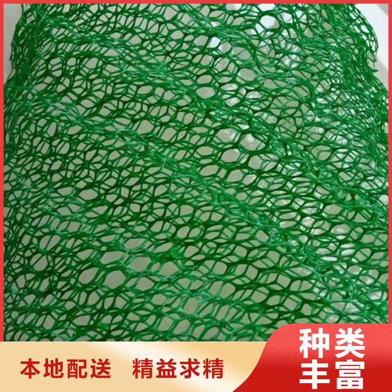 三维植被网-【铜止水生产厂家】货源直供