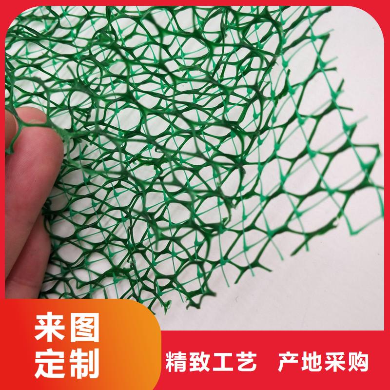 【三维植被网聚丙烯纤维实力雄厚品质保障】