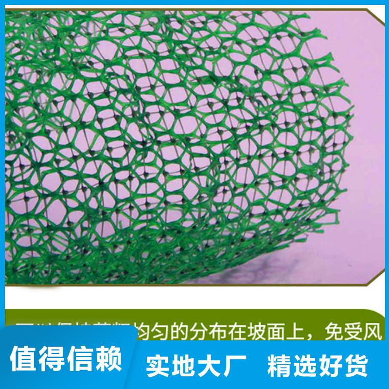 【三维植被网_沥青杉木板快速报价】