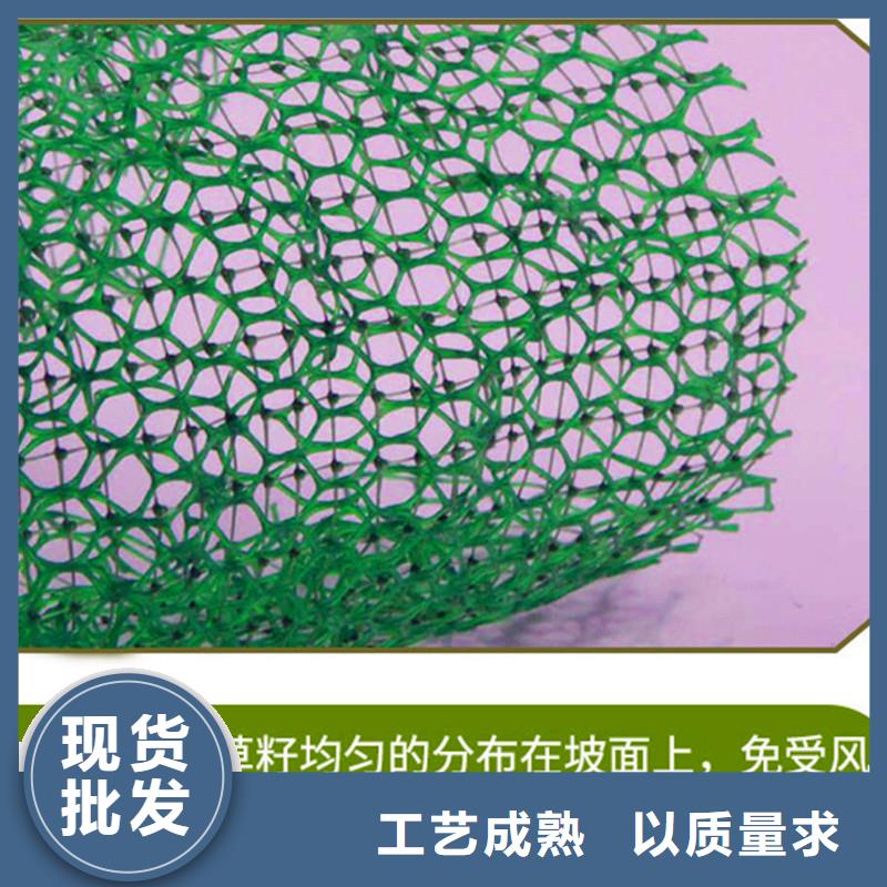 三维植被网土工格栅货源直供