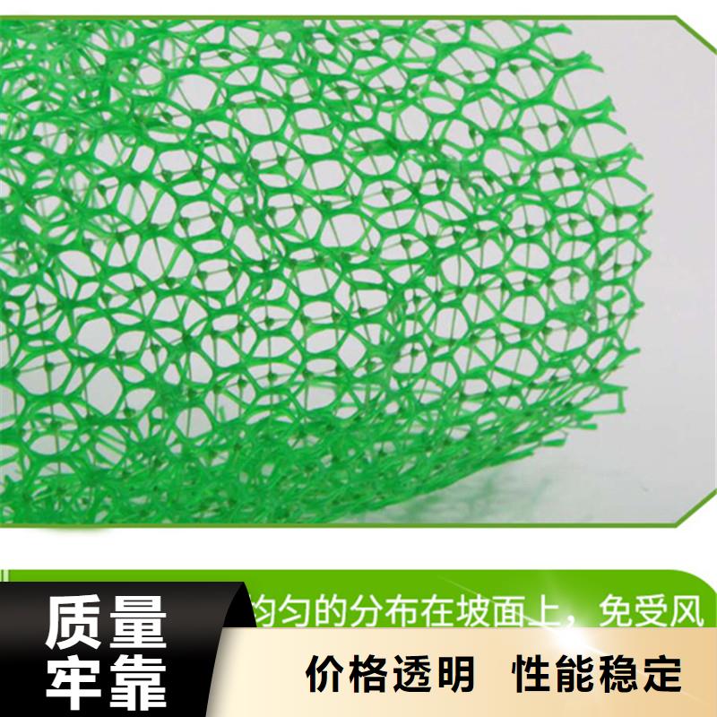 三维植被网铜片止水实力公司