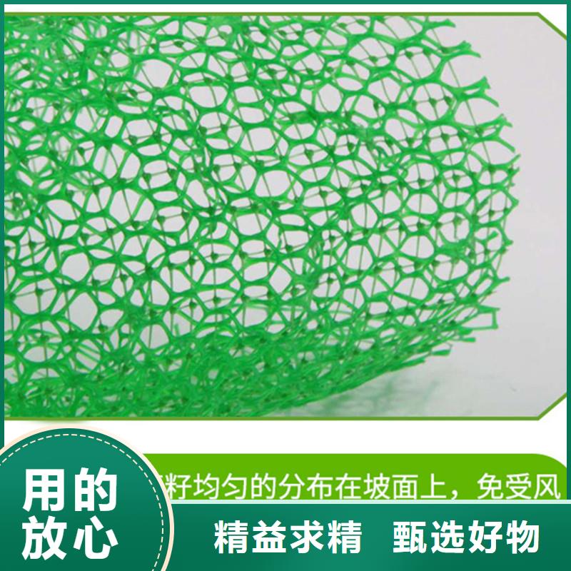 三维植被网止水铜片经验丰富品质可靠