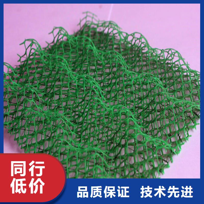 三维植被网沥青木丝板专业品质