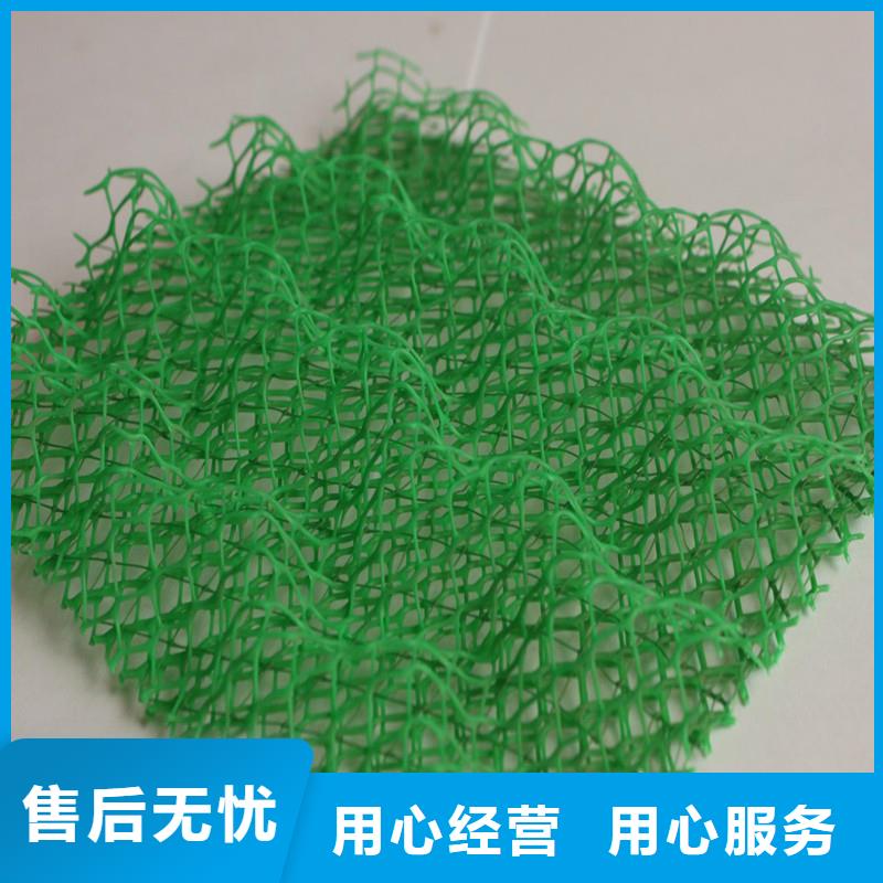 三维植被网砂浆混凝土纤维多行业适用
