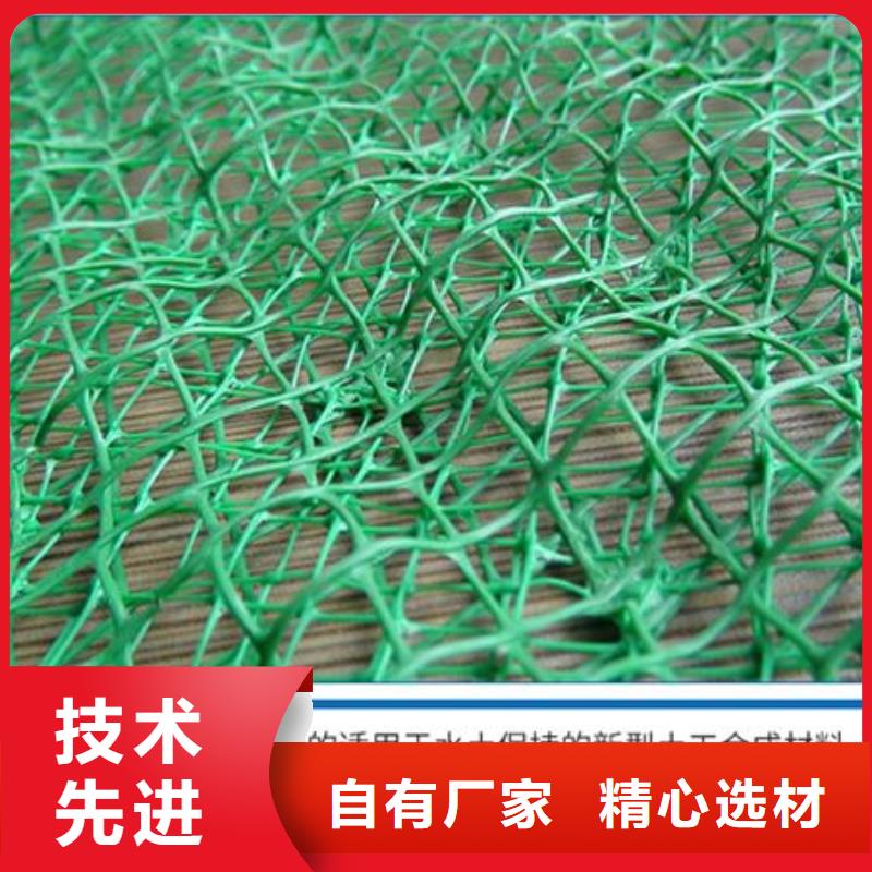 三维植被网紫铜止水片多种规格库存充足
