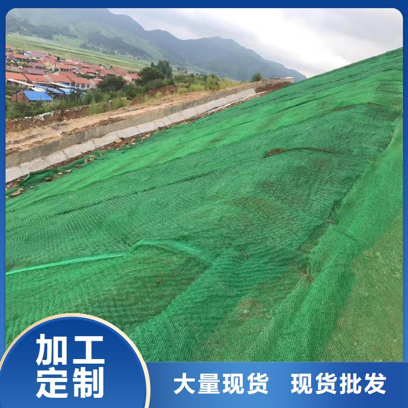 三维植被网渗排水网垫追求品质