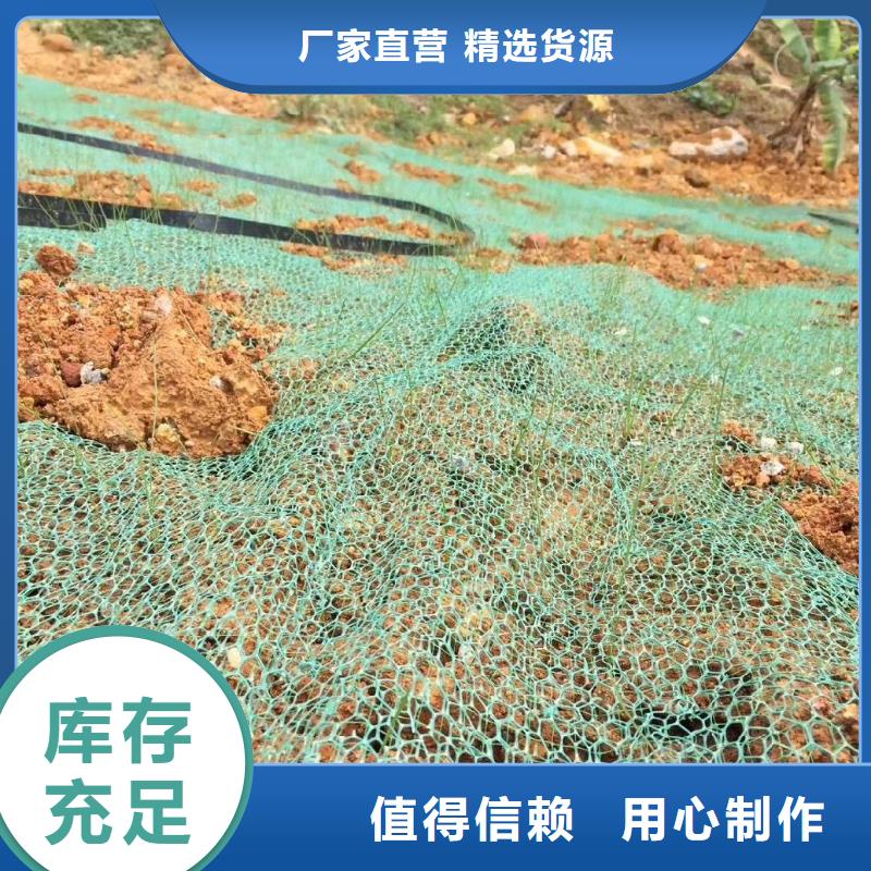 三维植被网_铜片止水超产品在细节