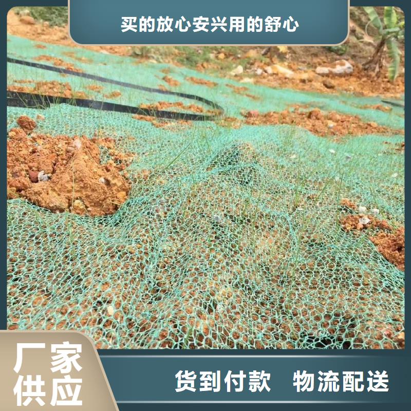 三维植被网土工格栅货源直供