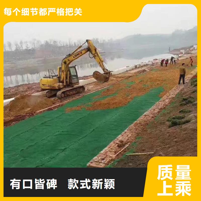 三维植被网【聚丙烯单丝纤维】品质保障售后无忧