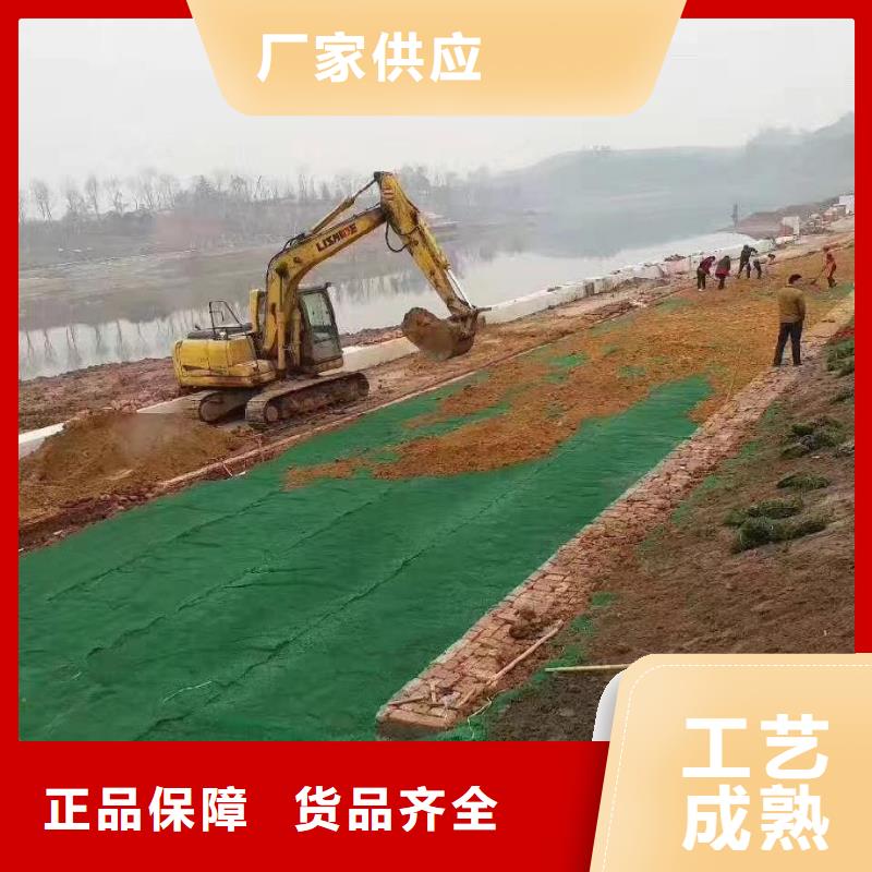 三维植被网-砂浆混凝土纤维专注细节使用放心