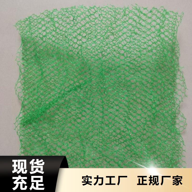【三维植被网】止水铜片厂家定制