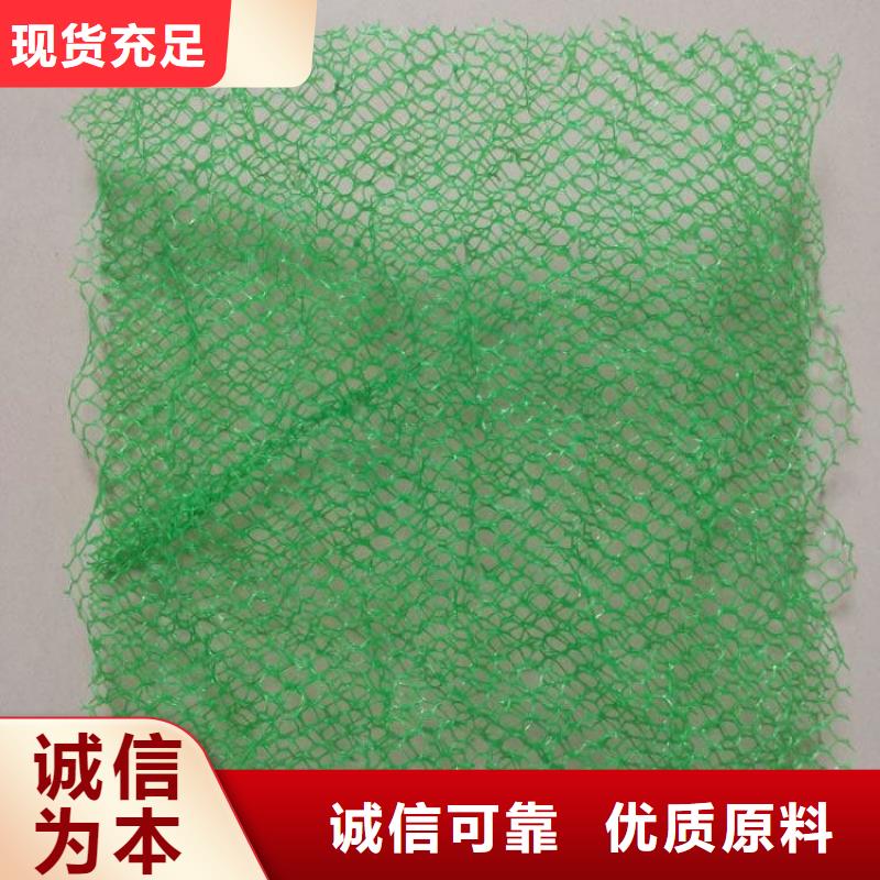 三维植被网,紫铜止水片优选好材铸造好品质