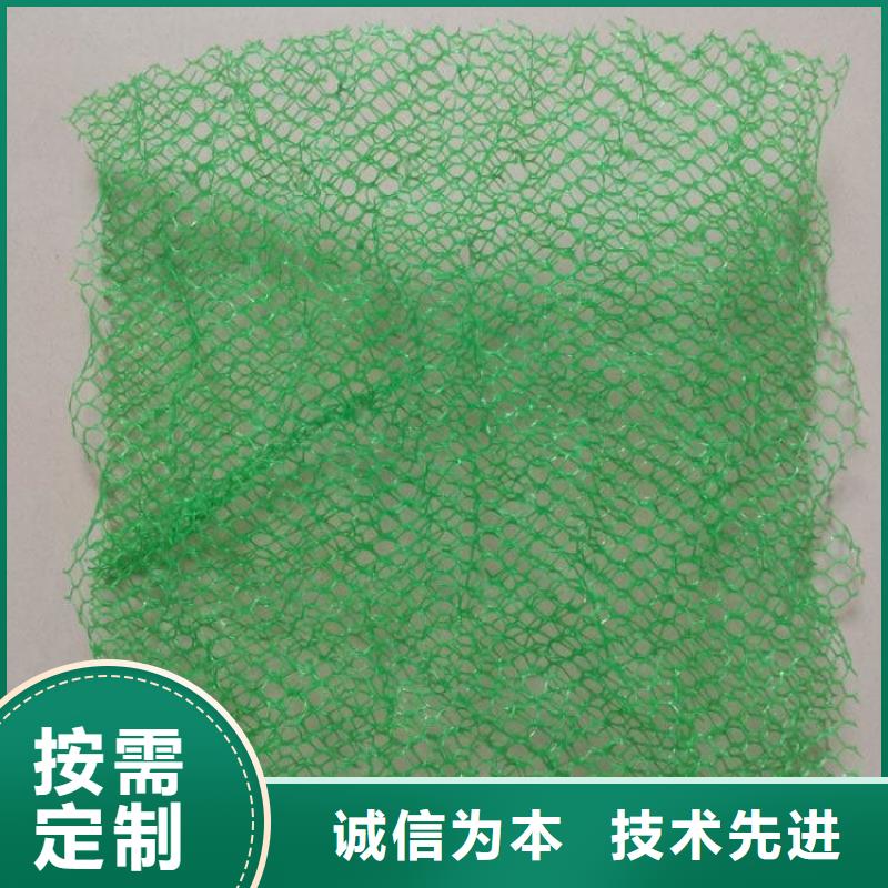 【三维植被网】土工膜厂家品控严格