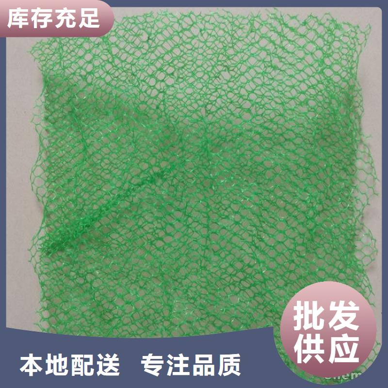 三维植被网土工席垫专业信赖厂家
