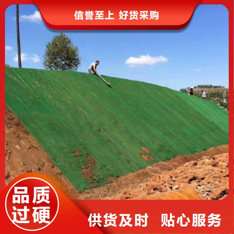 三维植被网铜片止水厂家诚信商家