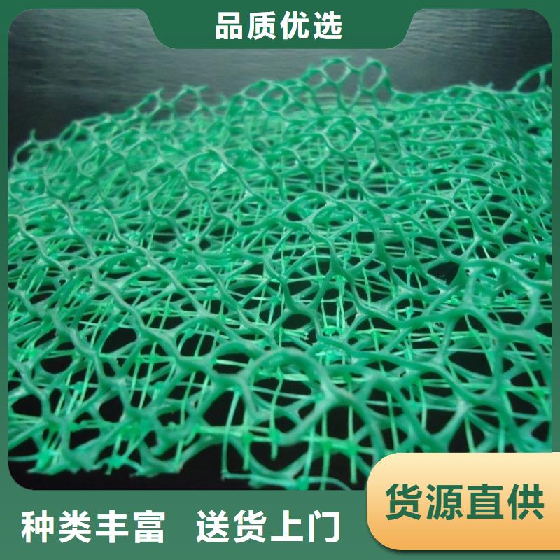 【三维植被网】止水铜片厂家定制