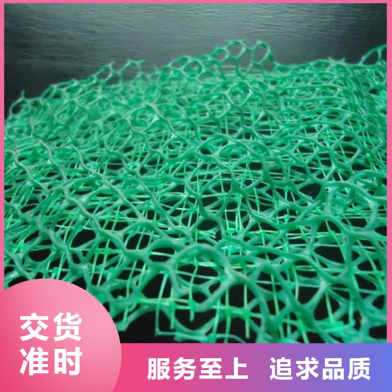 三维植被网【止水铜片】厂家规格全