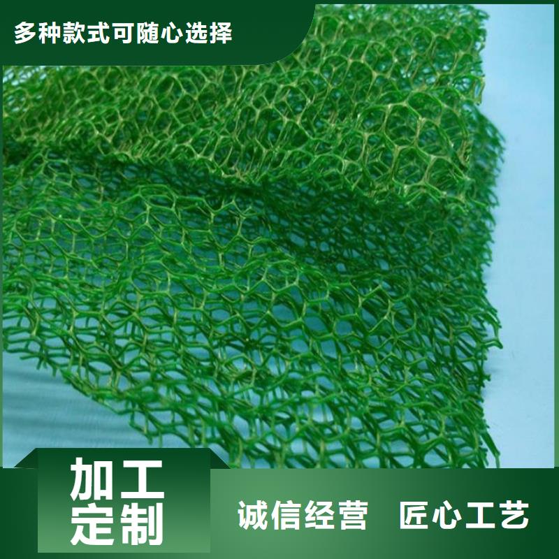 三维植被网,止水铜片批发供应