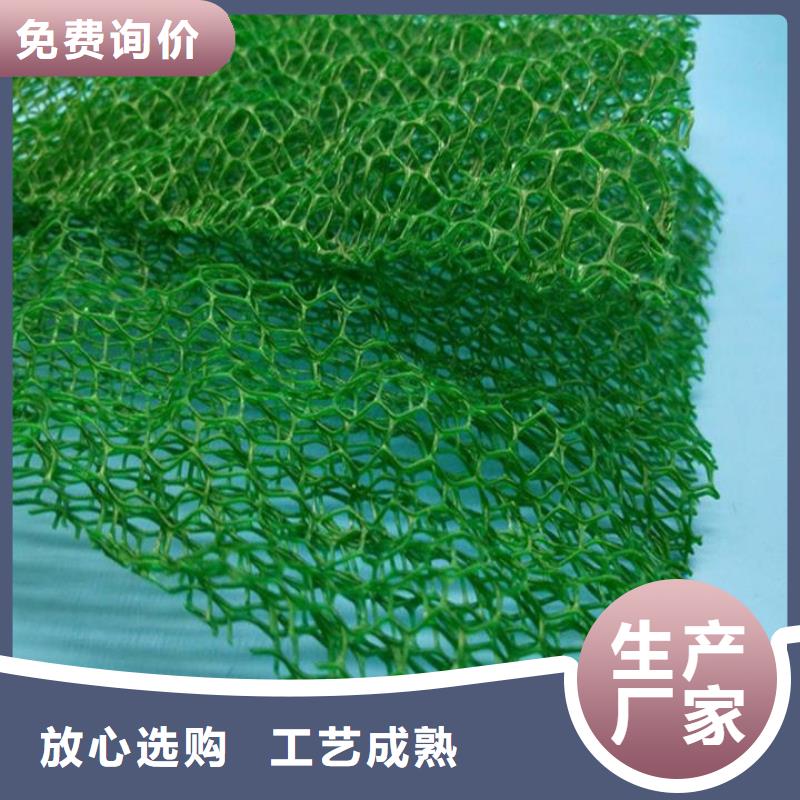 三维植被网止水铜片放心选购