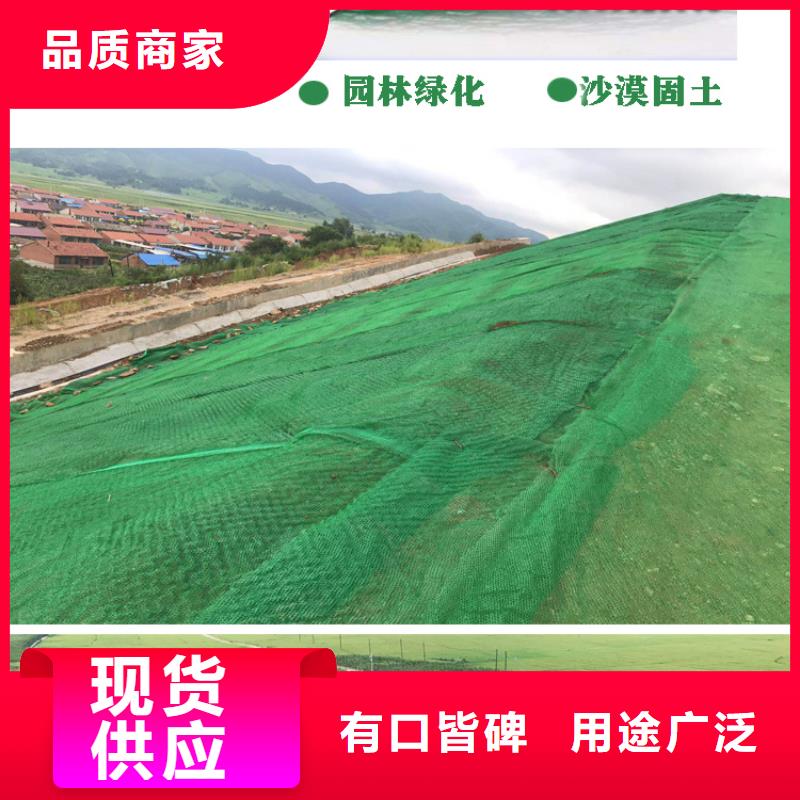 三维植被网_铜片止水超产品在细节