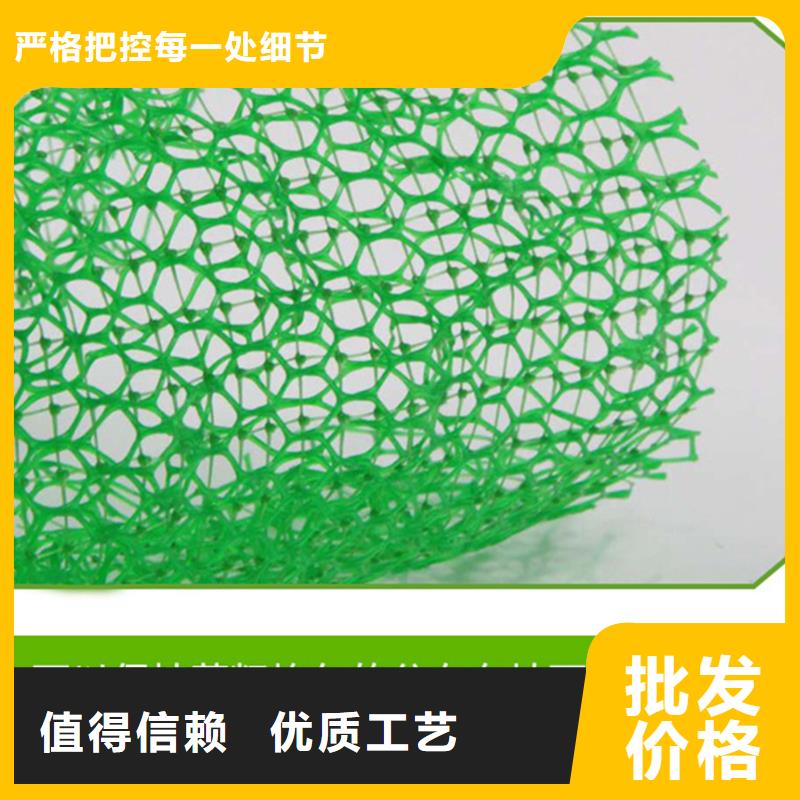 三维植被网铜片止水源头厂家