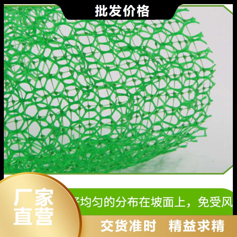 三维植被网止水铜片放心选购